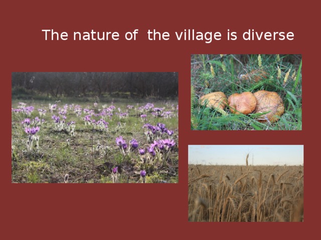  The nature of the village is diverse 