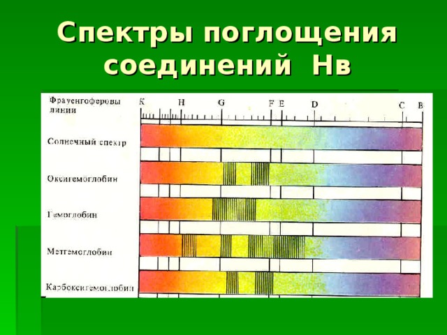 Спектры поглощения соединений Нв 