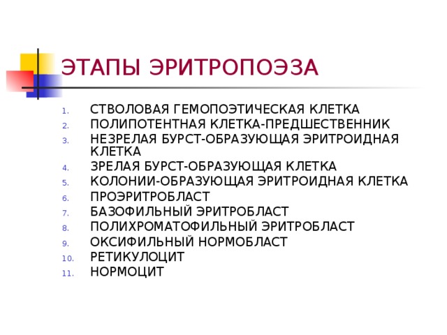 ЭТАПЫ ЭРИТРОПОЭЗА СТВОЛОВАЯ ГЕМОПОЭТИЧЕСКАЯ КЛЕТКА ПОЛИПОТЕНТНАЯ КЛЕТКА-ПРЕДШЕСТВЕННИК НЕЗРЕЛАЯ БУРСТ-ОБРАЗУЮЩАЯ ЭРИТРОИДНАЯ КЛЕТКА ЗРЕЛАЯ БУРСТ-ОБРАЗУЮЩАЯ КЛЕТКА КОЛОНИИ-ОБРАЗУЮЩАЯ ЭРИТРОИДНАЯ КЛЕТКА ПРОЭРИТРОБЛАСТ БАЗОФИЛЬНЫЙ ЭРИТРОБЛАСТ ПОЛИХРОМАТОФИЛЬНЫЙ ЭРИТРОБЛАСТ ОКСИФИЛЬНЫЙ НОРМОБЛАСТ РЕТИКУЛОЦИТ НОРМОЦИТ 