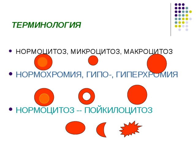 ТЕРМИНОЛОГИЯ НОРМОЦИТОЗ, МИКРОЦИТОЗ, МАКРОЦИТОЗ  НОРМОХРОМИЯ, ГИПО-, ГИПЕРХРОМИЯ   НОРМОЦИТОЗ -- ПОЙКИЛОЦИТОЗ  