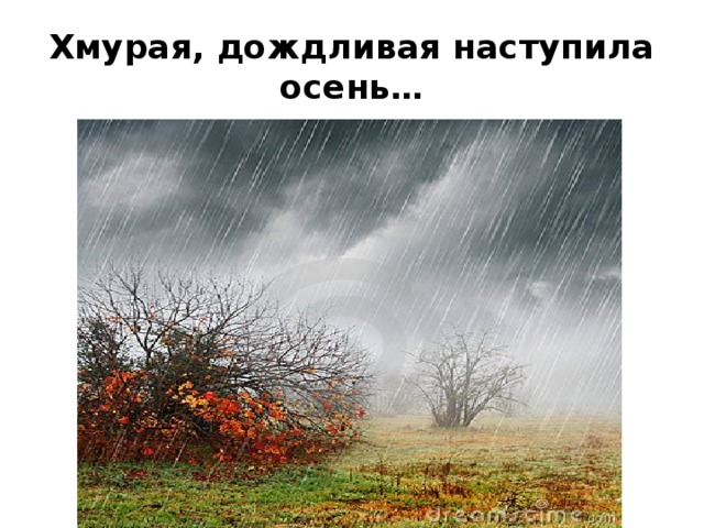 Начались ненастные дни поздней осени давно засолили огурцы