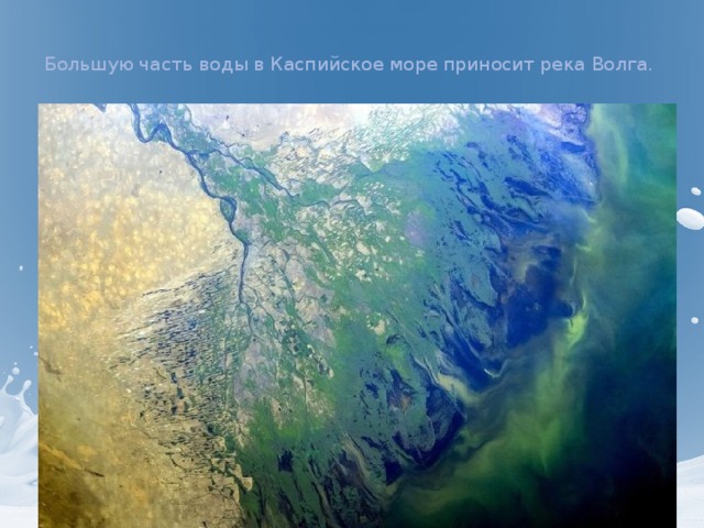  Большую часть воды в Каспийское море приносит река Волга.    