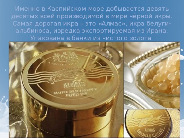  Именно в Каспийском море добывается девять десятых всей производимой в мире чёрной икры. Самая дорогая икра – это «Алмас», икра белуги-альбиноса, изредка экспортируемая из Ирана. Упакована в банки из чистого золота  