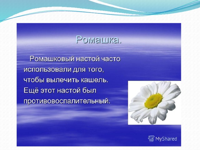Ромашка проект 2 класс