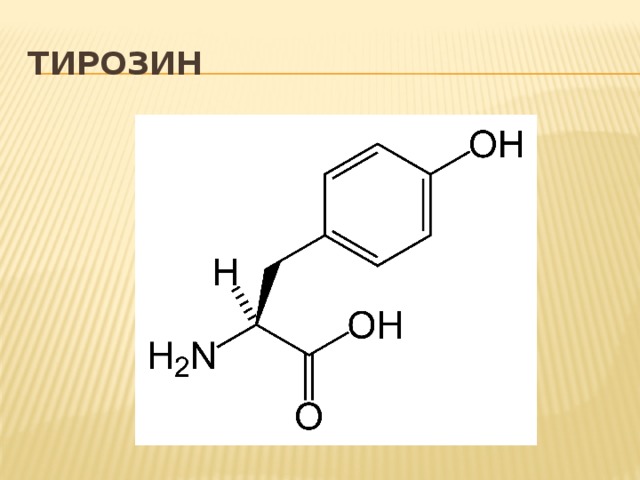 Фенилаланин аминокислота формула. Тирозин структурная формула. Химическая структура тирозина. Тирозин молекулярная формула. Тирозин аминокислота формула.