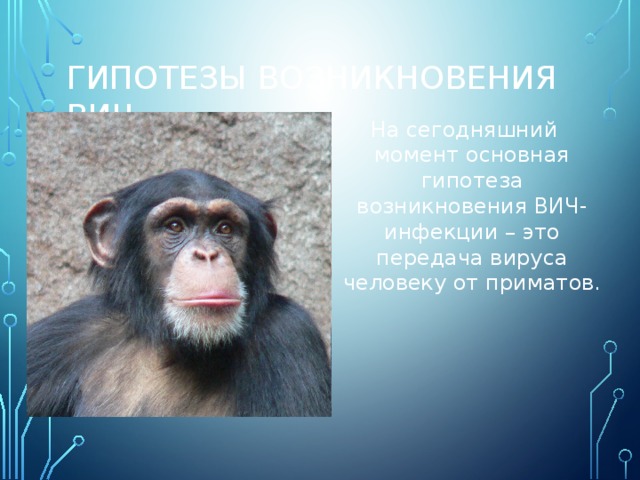 Гипотезы возникновения ВИЧ На сегодняшний момент основная гипотеза возникновения ВИЧ-инфекции – это передача вируса человеку от приматов. 