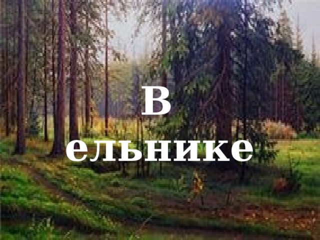   В ельнике 