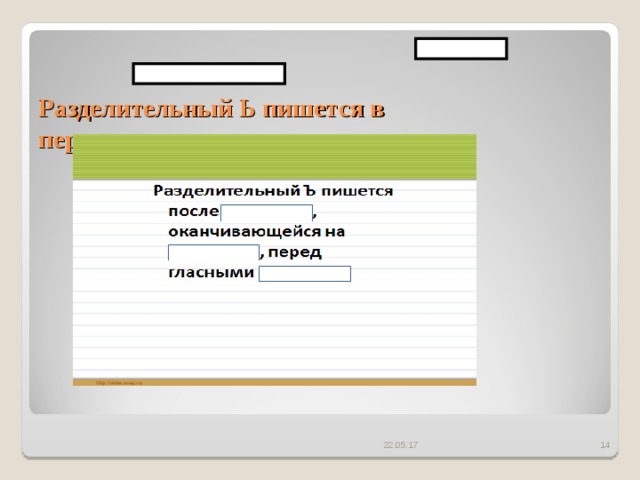 Разделительный Ь пишется в  перед   22.05.17
