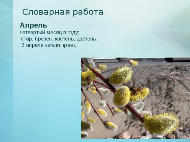 Размолоденький цветень текст. Апрель Цветень. Словарная работа апрель. Апрель четвертый месяц. С апреля земля преет.