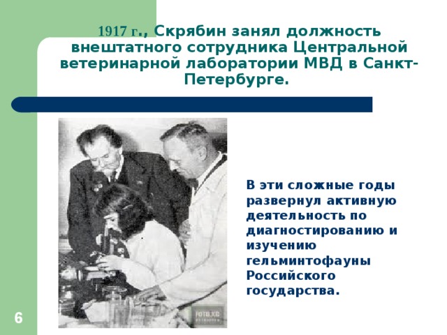 1917 г ., Скрябин занял должность внештатного сотрудника Центральной ветеринарной лаборатории МВД в Санкт-Петербурге. В эти сложные годы развернул активную деятельность по диагностированию и изучению гельминтофауны Российского государства.  