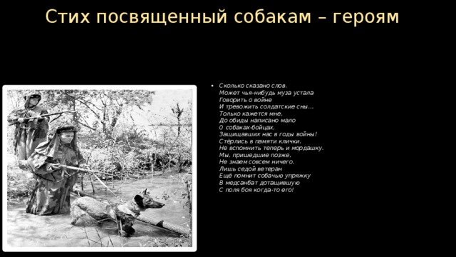 Стих посвященный собакам – героям Сколько сказано слов.  Может чья-нибудь муза устала  Говорить о войне  И тревожить солдатские сны…  Только кажется мне,  До обиды написано мало  О собаках-бойцах,  Защищавших нас в годы войны!  Стёрлись в памяти клички.  Не вспомнить теперь и мордашку.  Мы, пришедшие позже,  Не знаем совсем ничего.  Лишь седой ветеран  Ещё помнит собачью упряжку  В медсанбат дотащившую  С поля боя когда-то его!   