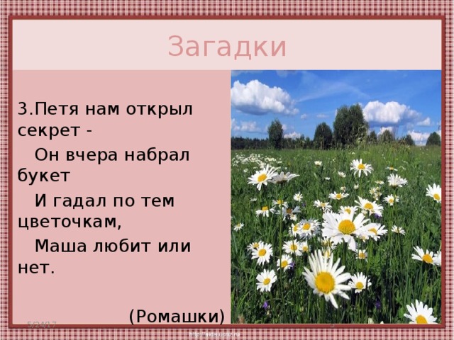 Сочините загадки о природе лесе поле луге или дереве цветке сделайте рисунок к своему произведению