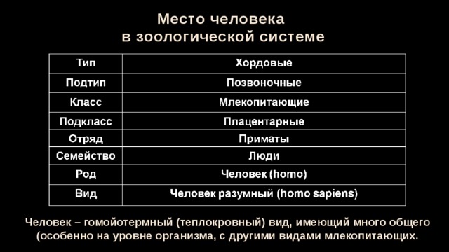 Составить схему положения человека согласно критериям зоологической систематики