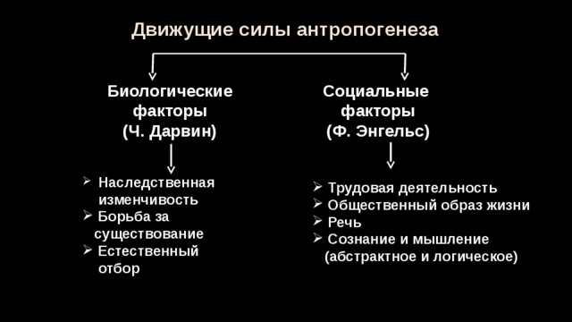 Движущие силы и факторы эволюции презентация