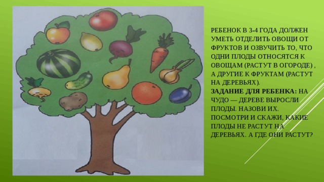 Ребенок в 3-4 года должен уметь отделить овощи от фруктов и озвучить то, что одни плоды относятся к овощам (растут в огороде) , а другие к фруктам (растут на деревьях).   Задание для ребенка:  На чудо — дереве выросли плоды. Назови их. Посмотри и скажи, какие плоды не растут на деревьях. А где они растут?   