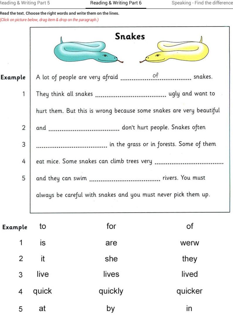 7 класс reading task