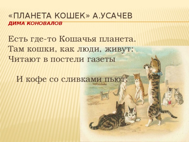 Где там кошки. Планета кошек стихотворение. Планета кошек Усачев. Кошачья Планета Усачев. Планета котов стих.