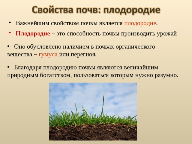  Важнейшим свойством почвы является плодородие .  Плодородие – это способность почвы производить урожай   Оно обусловлено наличием в почвах органического вещества – гумуса или перегноя.   Благодаря плодородию почвы являются величайшим природным богатством, пользоваться которым нужно разумно. 