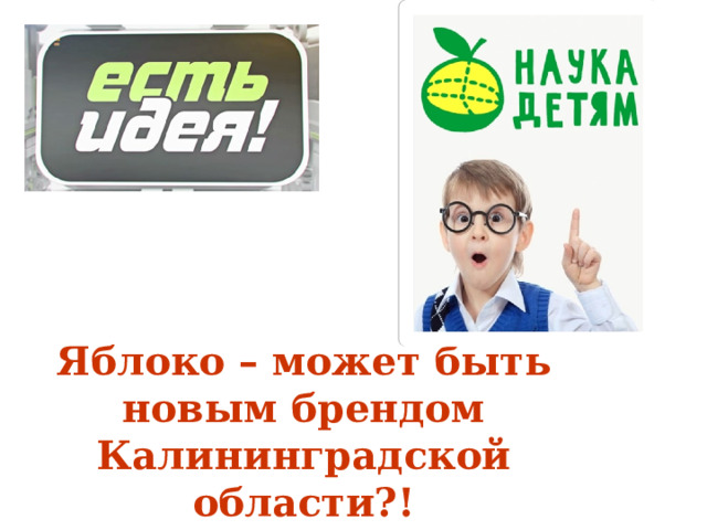 Яблоко – может быть новым брендом Калининградской области?!     