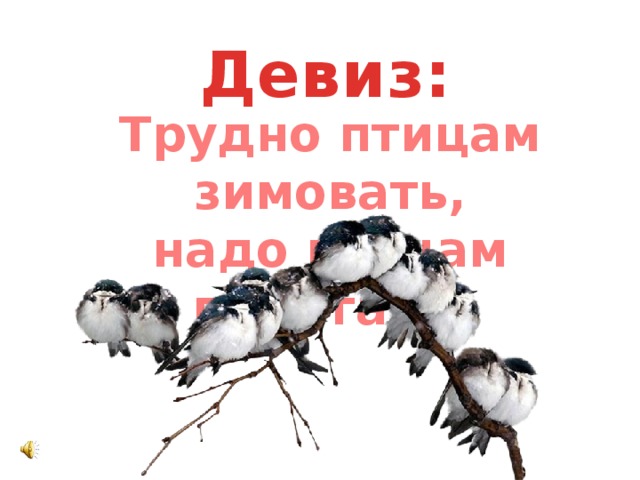 Слоган птицы