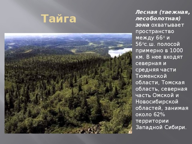 Климат западно сибирской равнины 8. Климат таежной лесоболотной зоны. Таёжная лесоболтная зона. Таежная Лесоболотная зона таблица. Таёжная Лесоболотная зона Западно сибирской равнины.