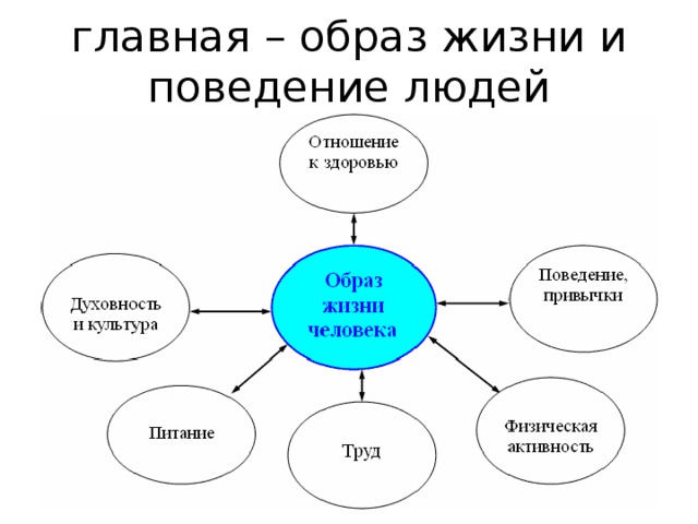 С чего начать здоровый образ жизни в 40 лет женщине план