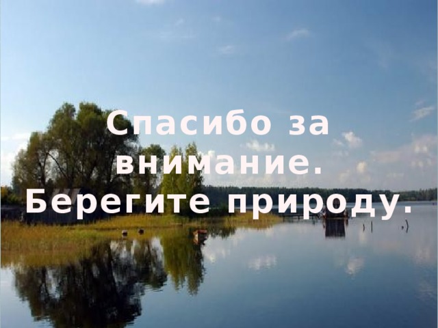 Спасибо за внимание берегите природу картинки для презентации