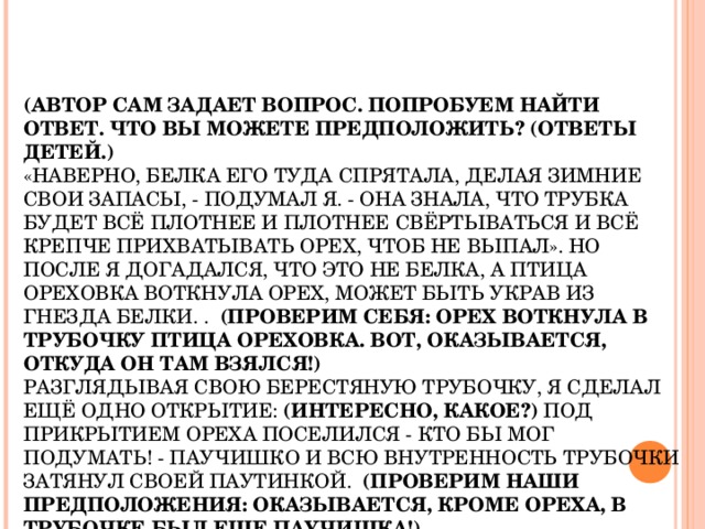 ВОКРУГ БЕРЁЗЫ НЕ БЫЛО ОРЕШНИКА. КАК ЖЕ ОН ТУДА ПОПАЛ?  (АВТОР САМ ЗАДАЕТ ВОПРОС. ПОПРОБУЕМ НАЙТИ ОТВЕТ. ЧТО ВЫ МОЖЕТЕ ПРЕДПОЛОЖИТЬ? (ОТВЕТЫ ДЕТЕЙ.)    «НАВЕРНО, БЕЛКА ЕГО ТУДА СПРЯТАЛА, ДЕЛАЯ ЗИМНИЕ СВОИ ЗАПАСЫ, - ПОДУМАЛ Я. - ОНА ЗНАЛА, ЧТО ТРУБКА БУДЕТ ВСЁ ПЛОТНЕЕ И ПЛОТНЕЕ СВЁРТЫВАТЬСЯ И ВСЁ КРЕПЧЕ ПРИХВАТЫВАТЬ ОРЕХ, ЧТОБ НЕ ВЫПАЛ». НО ПОСЛЕ Я ДОГАДАЛСЯ, ЧТО ЭТО НЕ БЕЛКА, А ПТИЦА ОРЕХОВКА ВОТКНУЛА ОРЕХ, МОЖЕТ БЫТЬ УКРАВ ИЗ ГНЕЗДА БЕЛКИ. .  (ПРОВЕРИМ СЕБЯ: ОРЕХ ВОТКНУЛА В ТРУБОЧКУ ПТИЦА ОРЕХОВКА. ВОТ, ОКАЗЫВАЕТСЯ, ОТКУДА ОН ТАМ ВЗЯЛСЯ!)   РАЗГЛЯДЫВАЯ СВОЮ БЕРЕСТЯНУЮ ТРУБОЧКУ, Я СДЕЛАЛ ЕЩЁ ОДНО ОТКРЫТИЕ: (ИНТЕРЕСНО, КАКОЕ?) ПОД ПРИКРЫТИЕМ ОРЕХА ПОСЕЛИЛСЯ - КТО БЫ МОГ ПОДУМАТЬ! - ПАУЧИШКО И ВСЮ ВНУТРЕННОСТЬ ТРУБОЧКИ ЗАТЯНУЛ СВОЕЙ ПАУТИНКОЙ.  (ПРОВЕРИМ НАШИ ПРЕДПОЛОЖЕНИЯ: ОКАЗЫВАЕТСЯ, КРОМЕ ОРЕХА, В ТРУБОЧКЕ БЫЛ ЕЩЕ ПАУЧИШКА!)