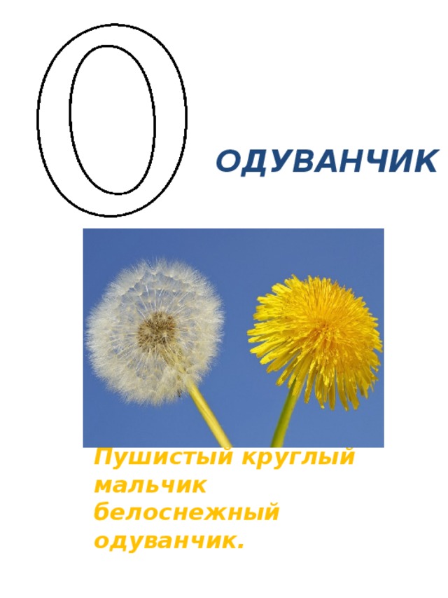 Цветок 1 класс. Проект Азбука цветов. Азбука цветов 1 класс. Азбука цветов 1 класс проект. Одуванчик для азбуки.