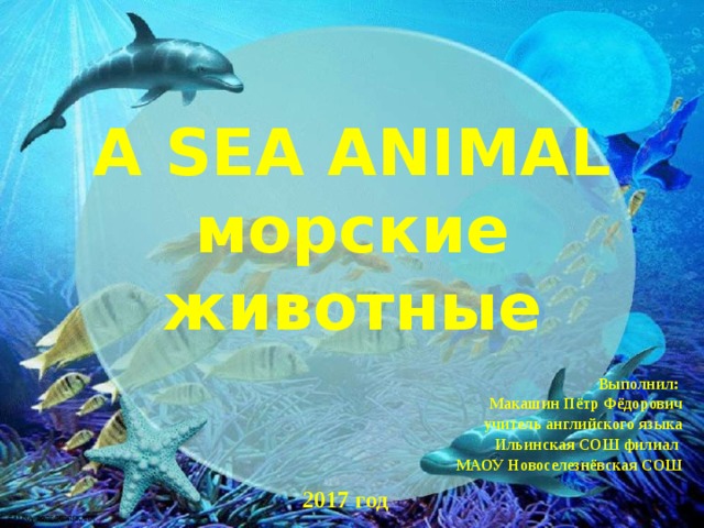 A SEA ANIMAL  морские животные Выполнил: Макашин Пётр Фёдорович учитель английского языка Ильинская СОШ филиал МАОУ Новоселезнёвская СОШ    2017 год