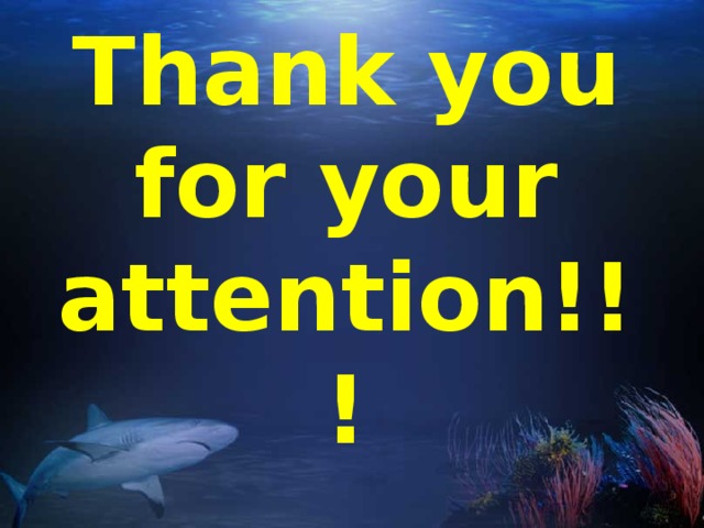 Thank you  for your  attention!!!