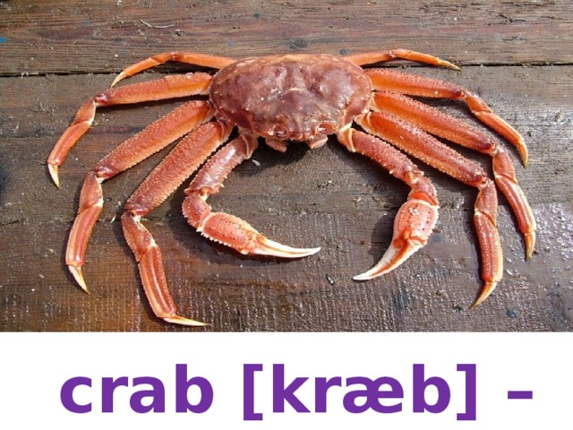 crab [kræb] – краб