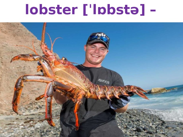 lobster [ˈlɒbstə] – омар