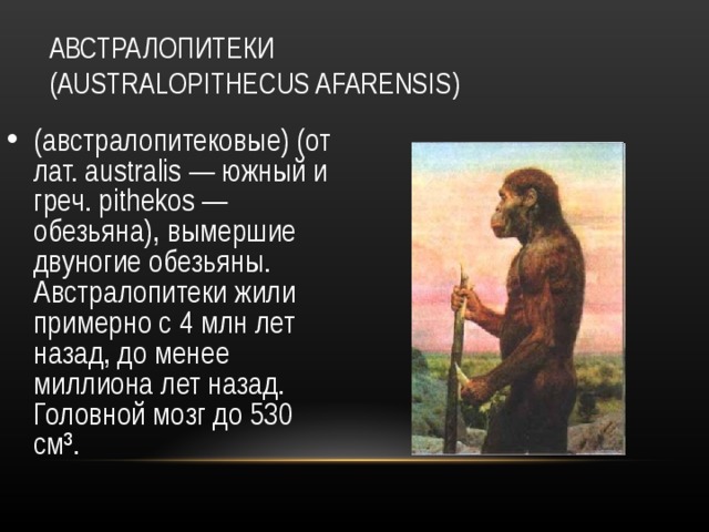 Австралопитек 6 5 миллионов лет назад проект Основные этапы антропогенеза