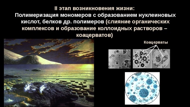 Жизнь возникла в первичном. Образование биологических полимеров. Образование полимеров и коацерватов. Возникновение коацерватов. Происхождение жизни коацерваты.