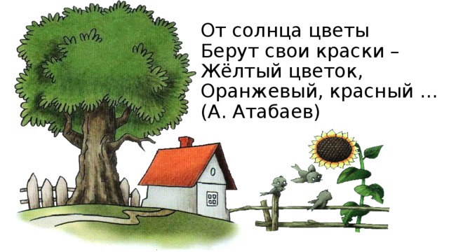 От солнца цветы  Берут свои краски –  Жёлтый цветок,  Оранжевый, красный ...  (А. Атабаев) 