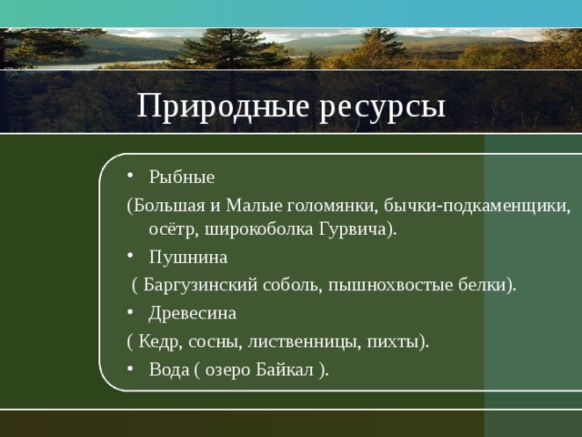 Природные ресурсы Рыбные (Большая и Малые голомянки, бычки-подкаменщики, осётр, широкоболка Гурвича). Пушнина  ( Баргузинский соболь, пышнохвостые белки). Древесина ( Кедр, сосны, лиственницы, пихты). Вода ( озеро Байкал ). 