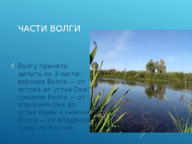 Река волга какая природная зона. Природные зоны Волги. Природные зоны реки Волга. Природная зона возле Волги. Природные зоны бассейна Волги.