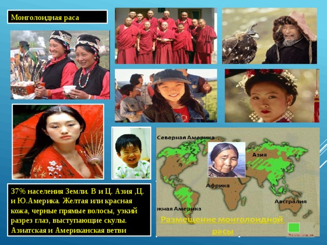Монголоидная раса 37% населения Земли. В и Ц. Азия ,Ц. и Ю.Америка. Желтая или красная кожа, черные прямые волосы, узкий разрез глаз, выступающие скулы. Азиатская и Американская ветви 