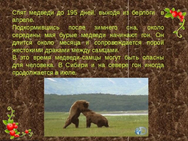 Спят медведи до 195 дней, выходя из берлоги в апреле. Подкормившись после зимнего сна, около середины мая бурые медведи начинают гон. Он длится около месяца и сопровождается порой жестокими драками между самцами. В это время медведи-самцы могут быть опасны для человека. В Сибири и на севере гон иногда продолжается в июле. 
