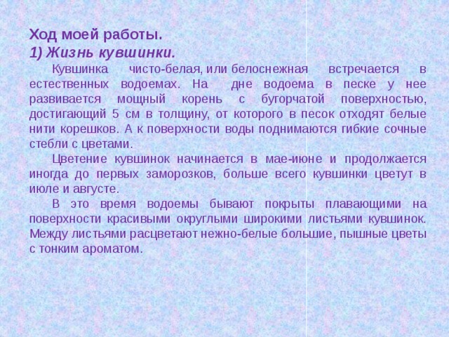 Ход моей работы. Жизнь кувшинки. Кувшинка чисто-белая, или белоснежная встречается в естественных водоемах. На дне водоема в песке у нее развивается мощный корень с бугорчатой поверхностью, достигающий 5 см в толщину, от которого в песок отходят белые нити корешков. А к поверхности воды поднимаются гибкие сочные стебли с цветами. Цветение кувшинок начинается в мае-июне и продолжается иногда до первых заморозков, больше всего кувшинки цветут в июле и августе. В это время водоемы бывают покрыты плавающими на поверхности красивыми округлыми широкими листьями кувшинок. Между листьями расцветают нежно-белые большие, пышные цветы с тонким ароматом.  