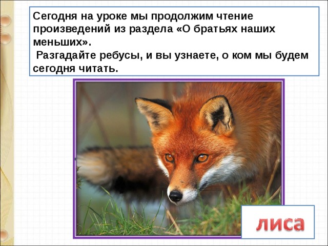 обоняние и тонкий слух помогают лисице не только спасаться но и добывать еду разбор предложения. img s633884 0 14. обоняние и тонкий слух помогают лисице не только спасаться но и добывать еду разбор предложения фото. обоняние и тонкий слух помогают лисице не только спасаться но и добывать еду разбор предложения-img s633884 0 14. картинка обоняние и тонкий слух помогают лисице не только спасаться но и добывать еду разбор предложения. картинка img s633884 0 14. Юрий Дмитриевич Дмитриев