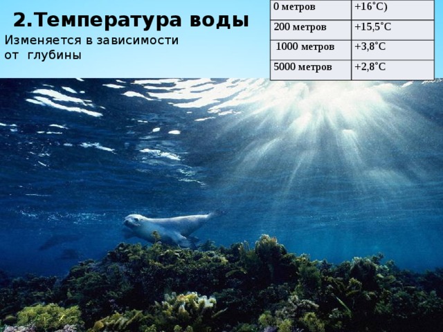 2.Температура воды 0 метров +16˚C) 200 метров +15,5˚C  1000 метров +3,8˚C 5000 метров +2,8˚C Изменяется в зависимости от глубины 