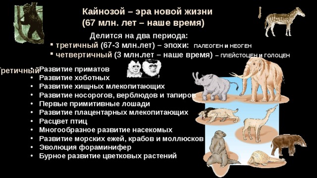 Краткая история развития органического мира презентация