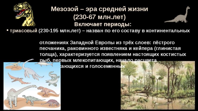 Мезозой – эра средней жизни (230-67 млн.лет)  Включает периоды:  триасовый (230-195 млн.лет) – назван по его составу в континентальных  отложениях Западной Европы из трёх слоев: пёстрого  песчаника, раковинного известняка и кейпера (глинистая  толща), характеризуется появлением настоящих костистых  рыб, первых млекопитающих, начало расцвета  пресмыкающихся и голосеменных 