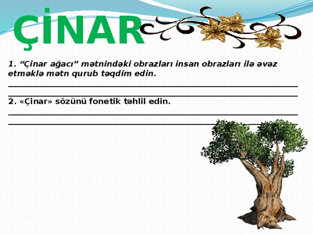 ÇİNAR 1. “Çinar ağacı” mətnindəki obrazları insan obrazları ilə əvəz etməklə mətn qurub təqdim edin. ____________________________________________________________________________________________________________________________________________________  2. «Çinar» sözünü fonetik təhlil edin. ____________________________________________________________________________________________________________________________________________________  