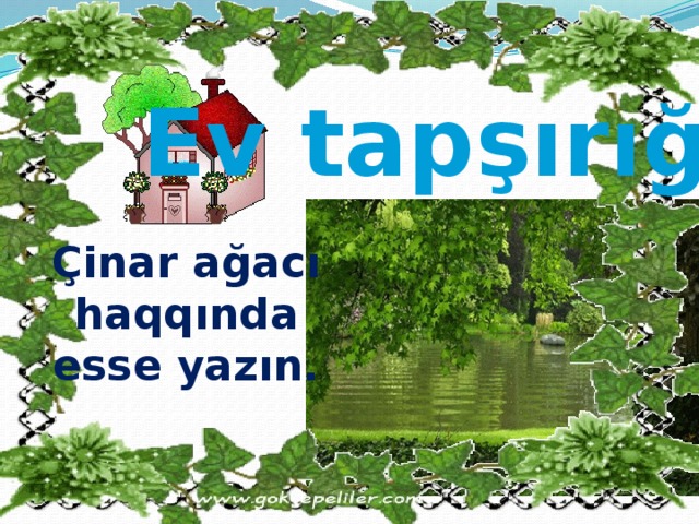 Ev tapşırığı Çinar ağacı haqqında esse yazın. 