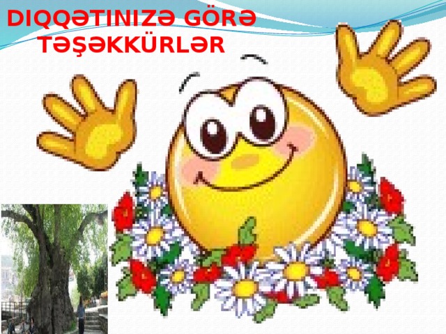 DiqqƏtinizə görə təşəkkürlər 