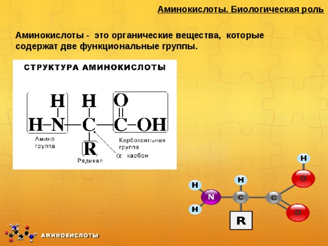 Аминокислоты. Биологическая роль Аминокислоты - это органические вещества, которые содержат две функциональные группы. 