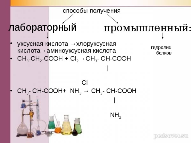 способы получения лабораторный   промышленный: уксусная кислота →хлоруксусная кислота→аминоуксусная кислота СН 3 -СН 2 -СООН + Сl 2  →СН 3 - СН-СООН  |      Cl СН 3 - СН-СООН+ NH 3 → СН 3 - СН-СООН  |  NH 2   гидролиз белков 